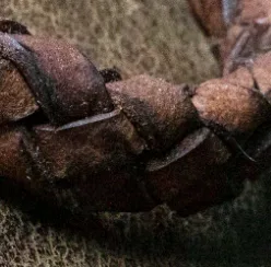 donkerbruin leer voor armband selectie