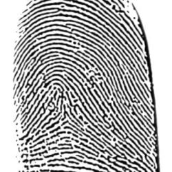 hoe maak ik een vingerafdruk voor op een armband